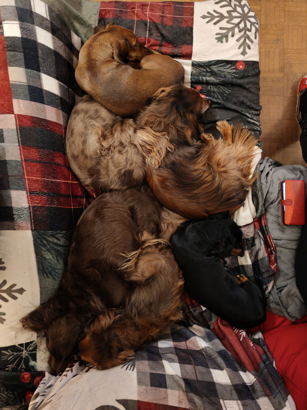 [Image: IMG-20241231-173719.jpg]