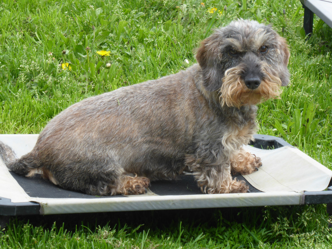 [Image: P1020626.jpg]