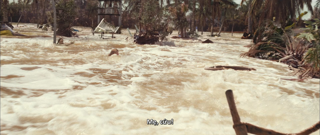 (Vietsub) The Impossible 2012 BluRay 1080p DTS x264-CHD.mkv_snapshot_00.16.22.665