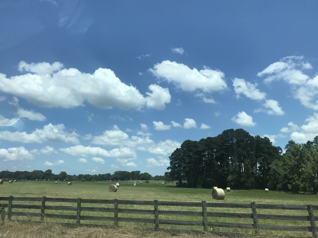 E25CA5A4-3555-47D2-B86C-5E11ECB77E05