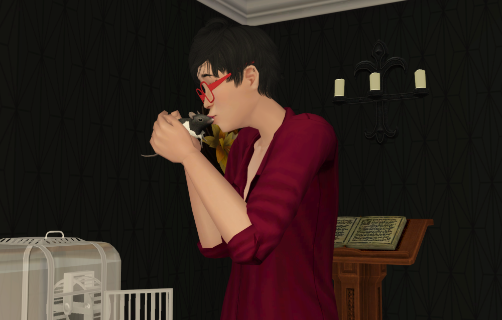 Sims2-EP9-RPC-2021-07-10-21-06-36-12