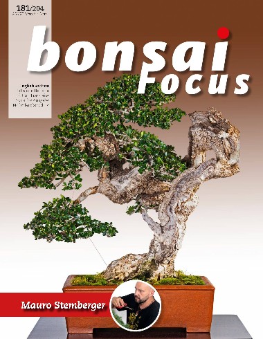 Bonsai Focus - March / April 2023