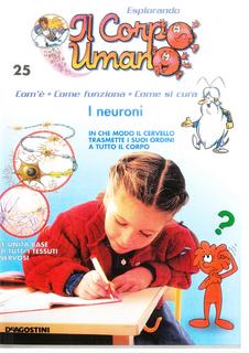 Esplorando il corpo umano N. 25 - I neuroni