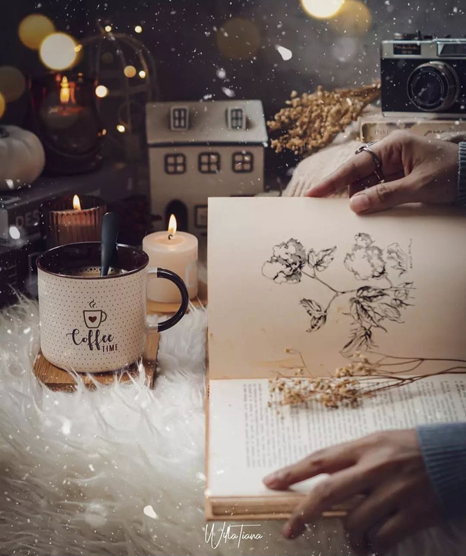 Screenshot_20240112_234519_Instagram