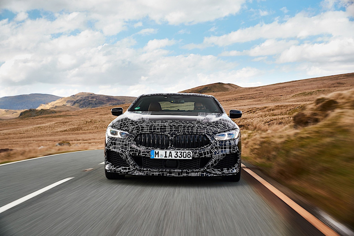 BMW 8 Series Coupe (4)