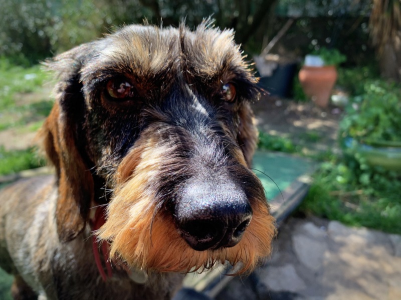 [Image: IMG-0588.jpg]