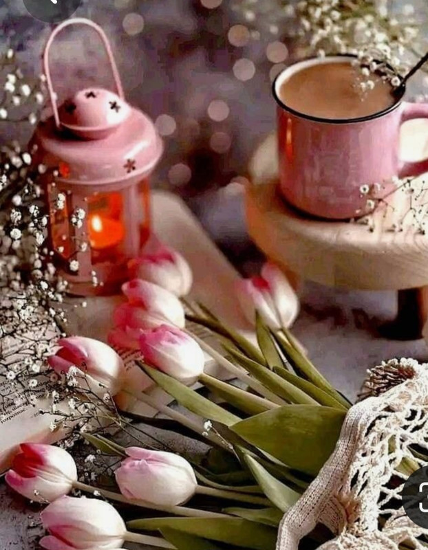 Screenshot_20230310_001051_Pinterest