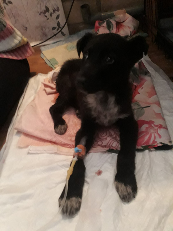 изображение_viber_2019-12-10_19-32-25