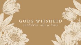 wijsheid
