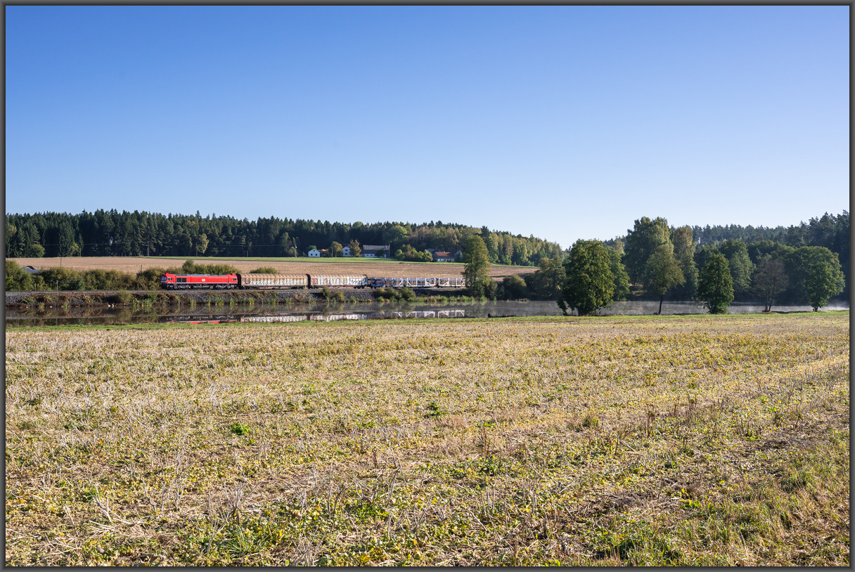 20260926 DSC3940