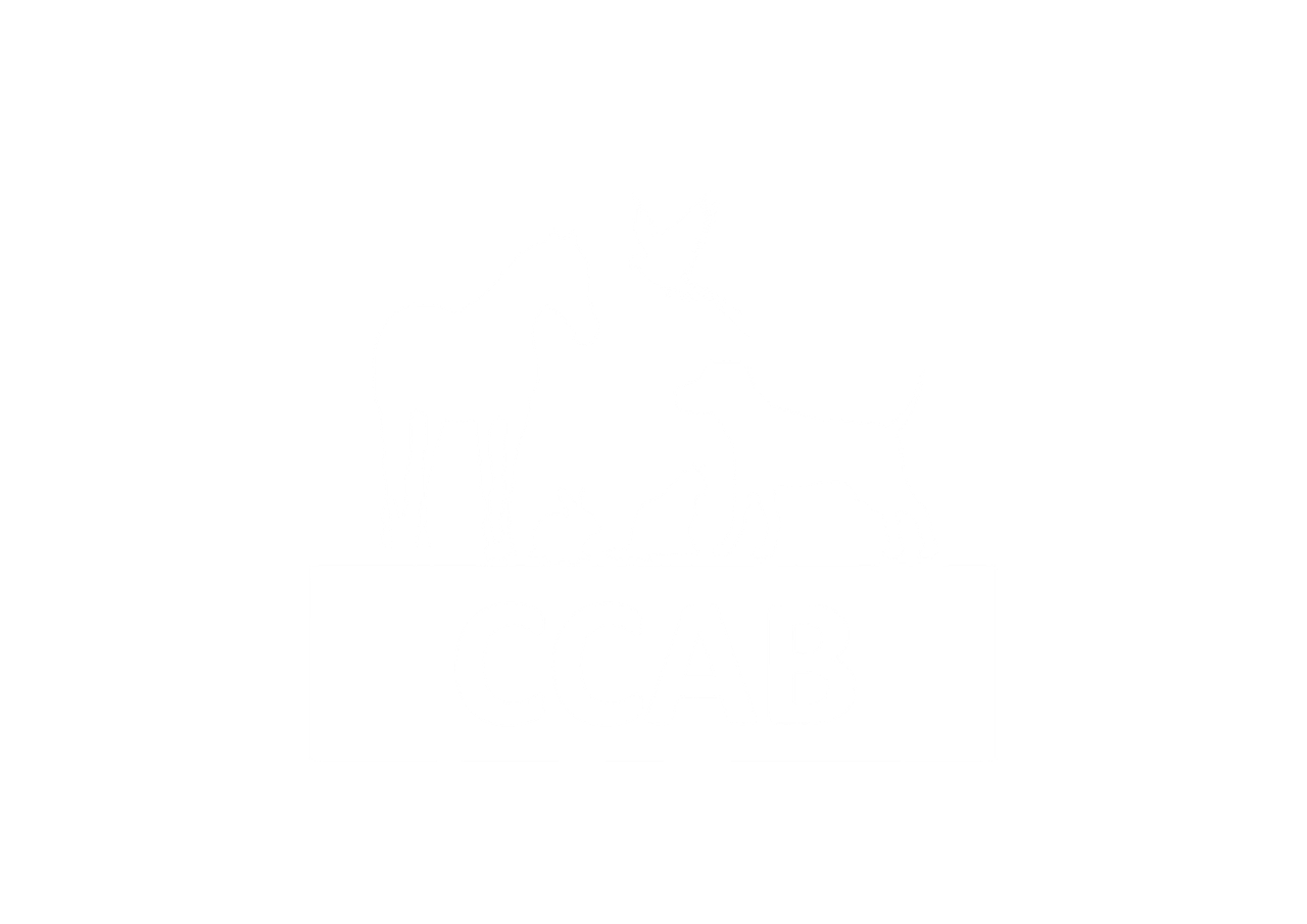 Accredited Certified Clinical Animal Behaviourist