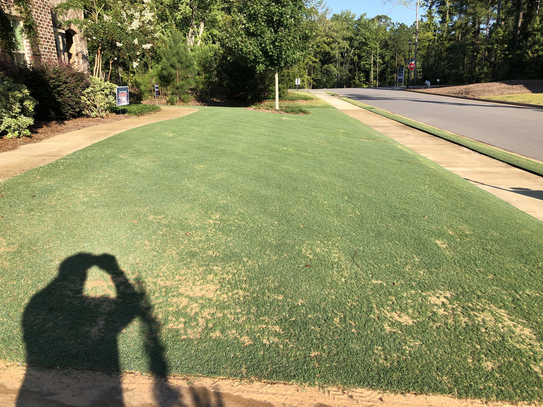 414DAAD2-EA25-4473-8638-B5F3D14F8B54