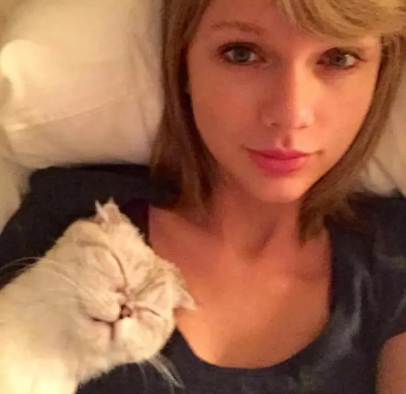 09-Taylor-Swift-Leaked-Porn-Sex-Tape-optimized