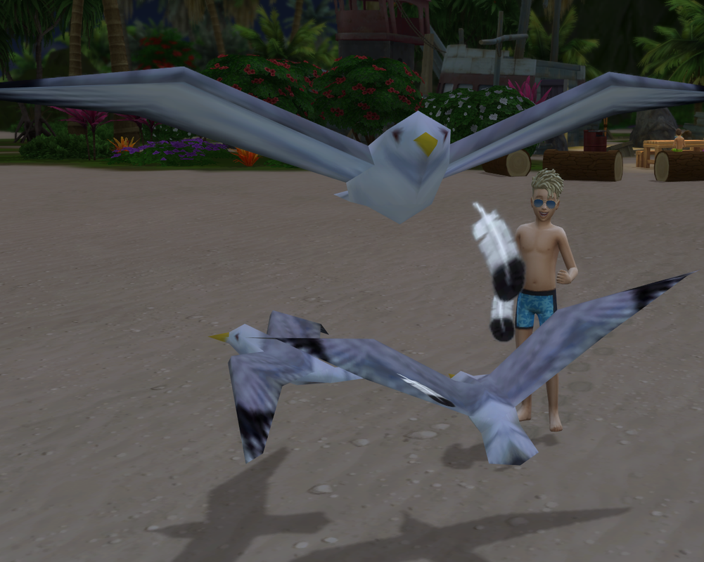 RENS-TURN-TO-SCARE-THE-SEAGULLS-AWAY.png