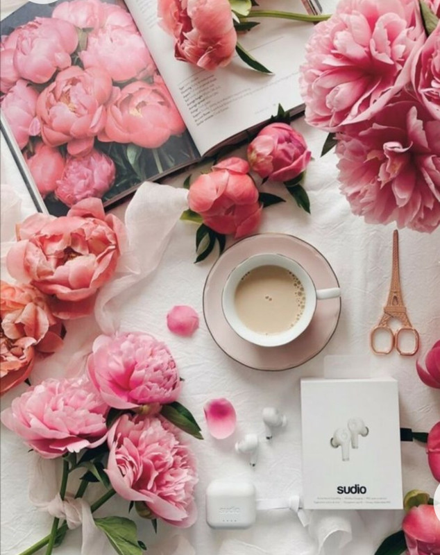 Screenshot_20230130_004414_Chrome