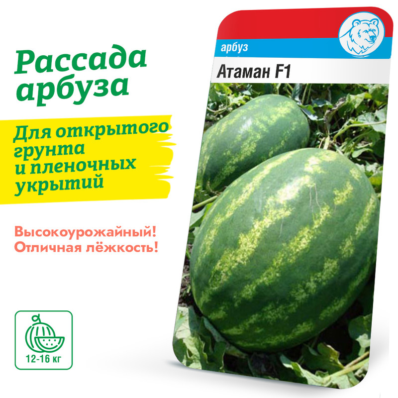 Арбуз Атаман