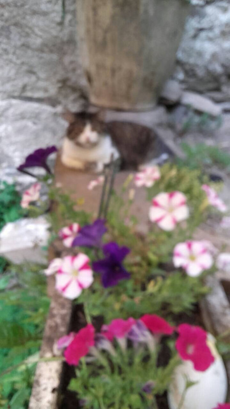 C33C7F70-29C2-4308-A384-9367888AD84D