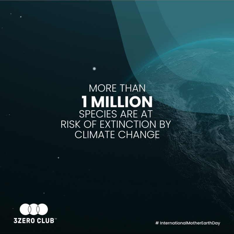 3zc promo material.png