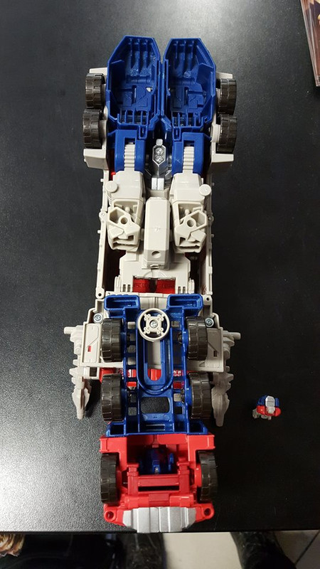 13349132_1030818673676341_3744563_n