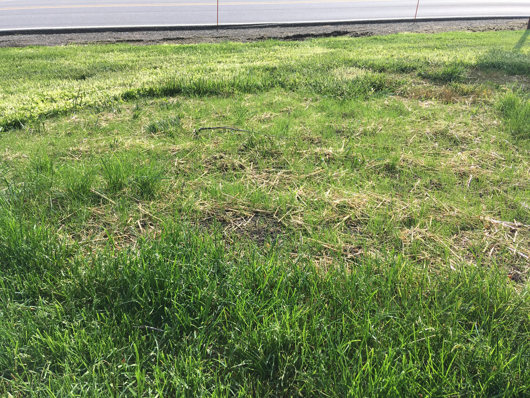 73F0685D-5C4B-4279-B35F-DA16D3E542FA