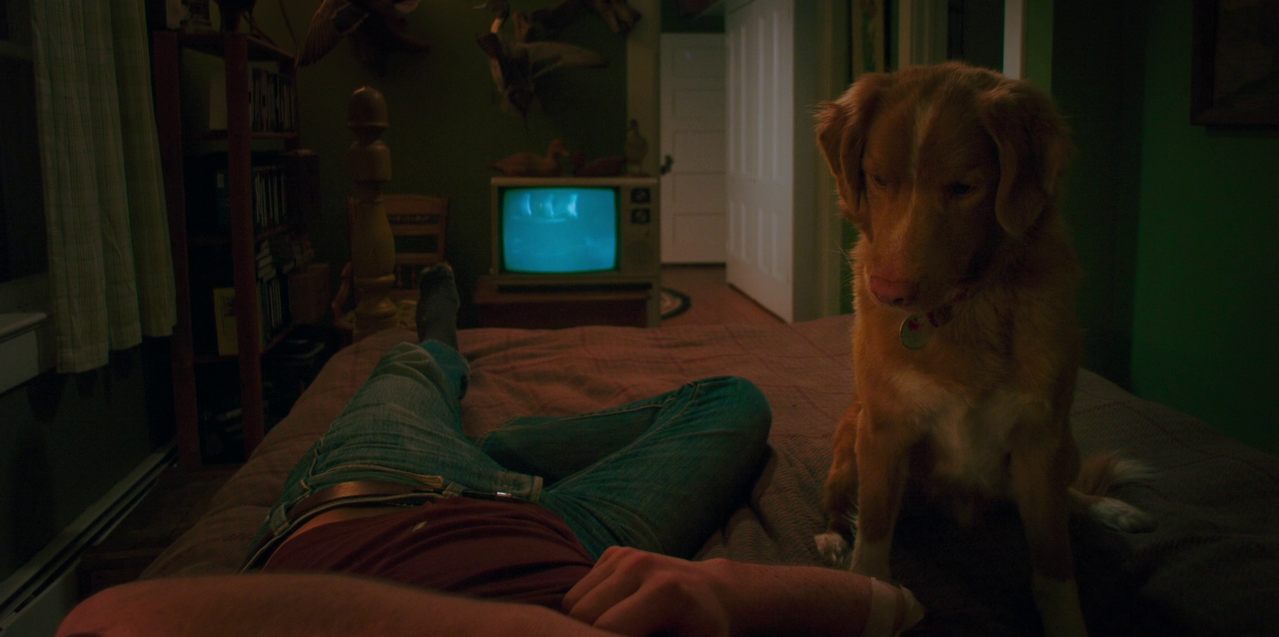 vlcsnap 2026 01 25 16h12m38s408