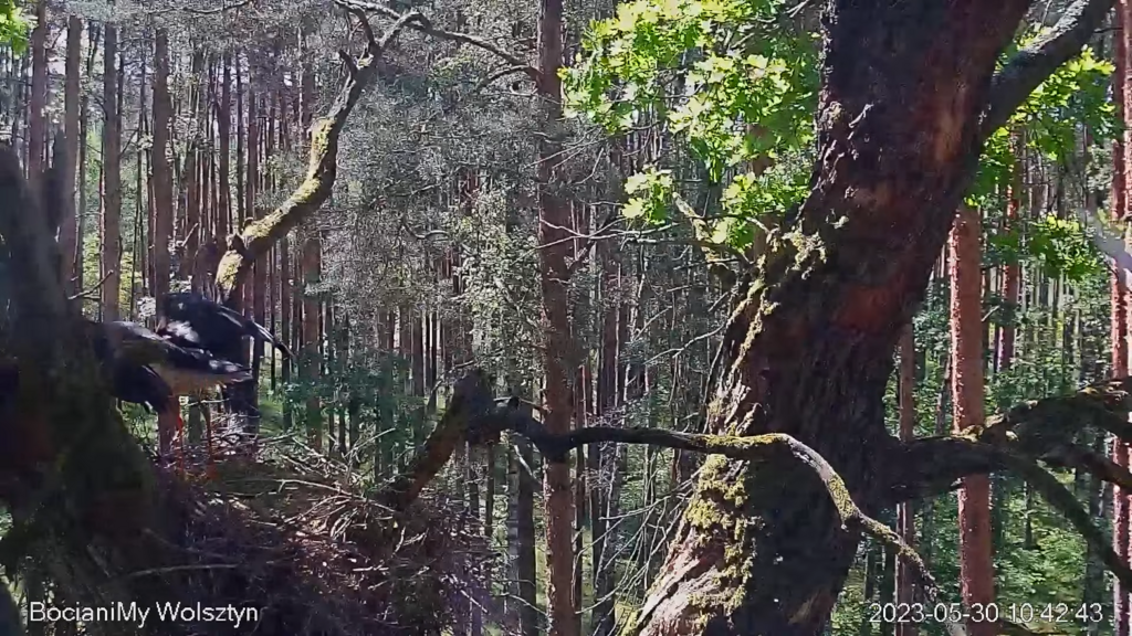 Zrzut ekranu (15843)