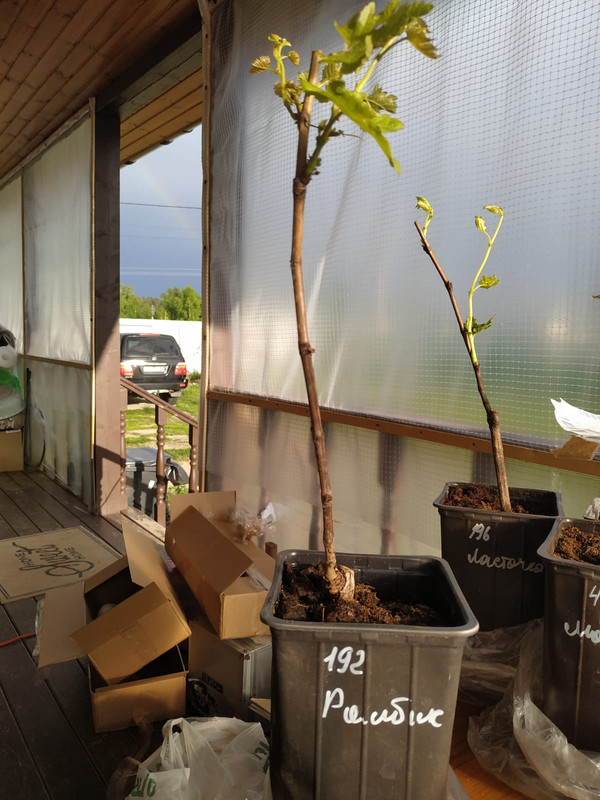 PHOTO-2022-06-01-19-31-56 (3)