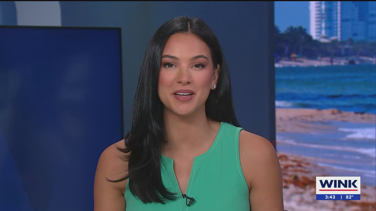 07.02 - 20.00.00 - WINK News at 3pm  ᴺᵉʷ. No Description Info.ts_snapshot_00.45.07.211