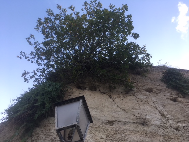 8F465FF4-D77F-4D41-8672-9D04ED0AF4ED