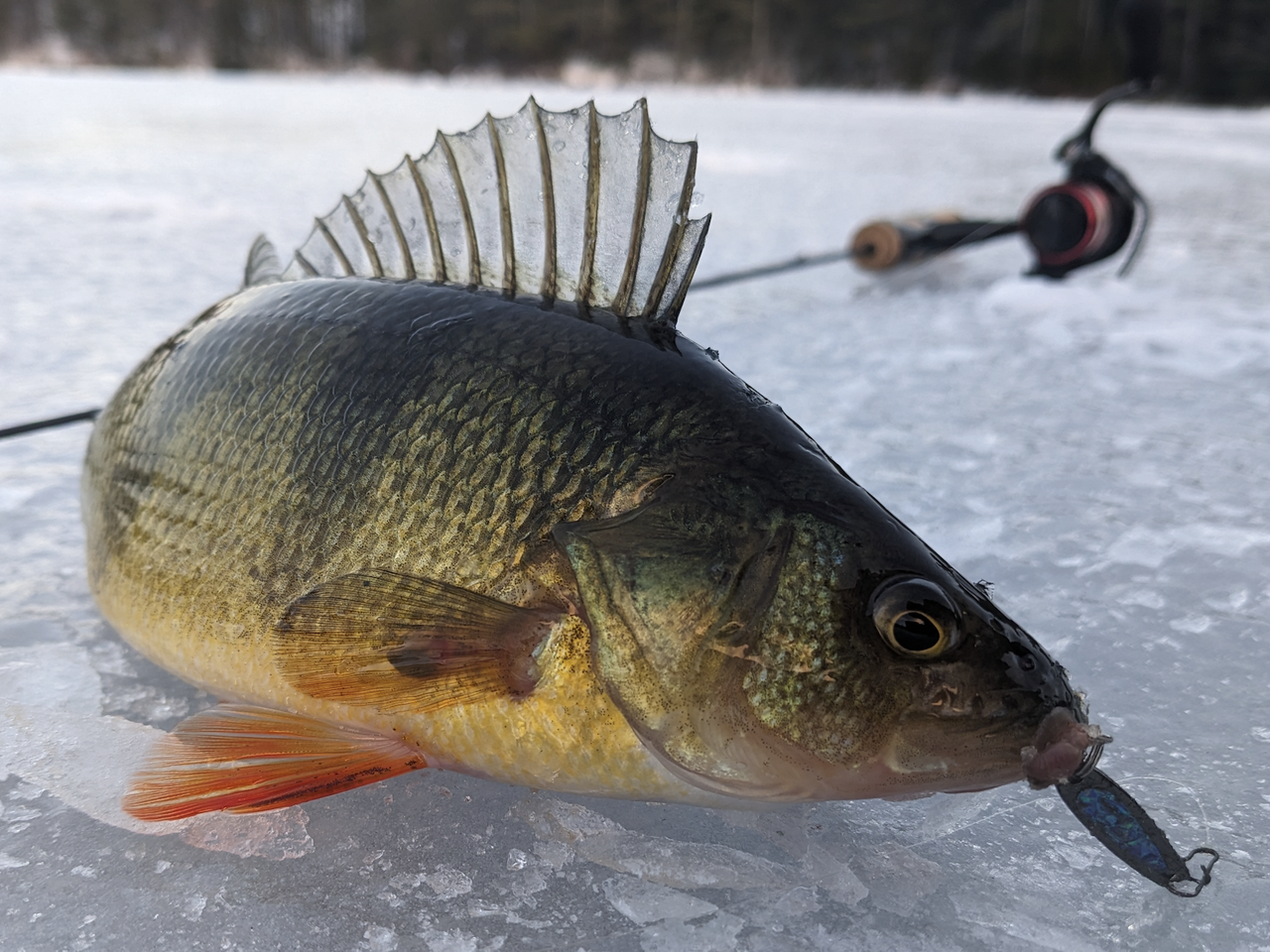 Screenshot 2025 12 07 at 10 45 43 AM