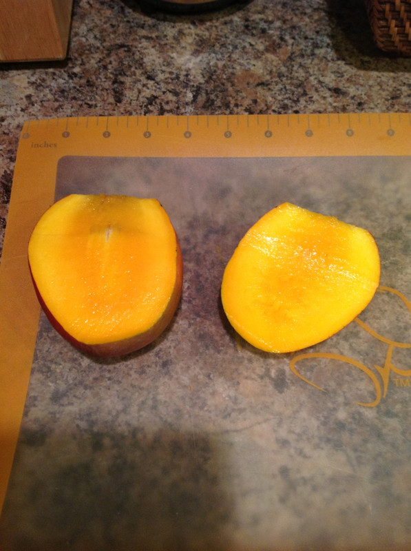 03e574e74d96f2d7190711f32e99f745