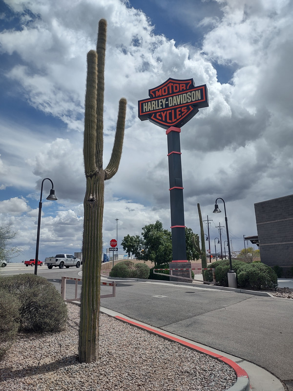 IMG_20250404_123706500_HDR