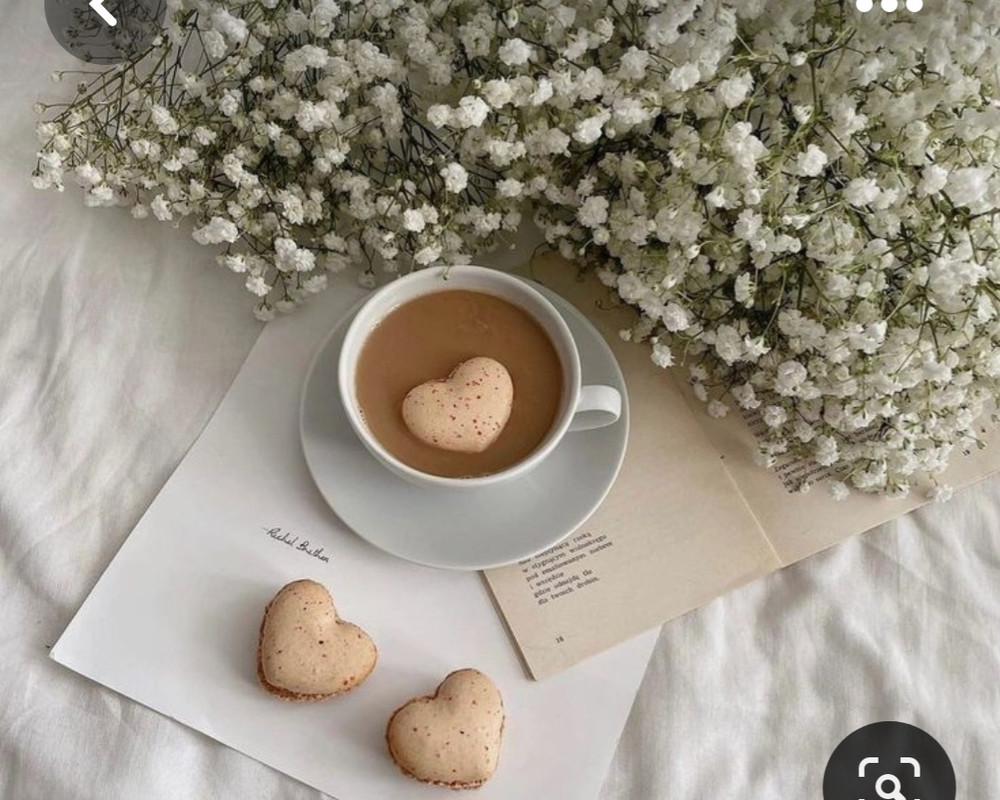 Screenshot_20230426_221043_Pinterest