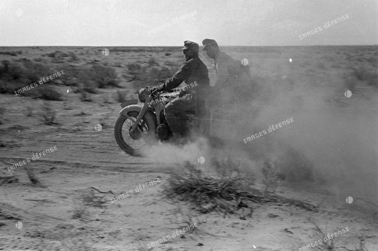 Side-cars qui roulent dans le désert 1941 (3)