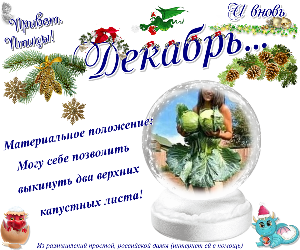 https://i.postimg.cc/d0Lgm1nQ/06-12.png