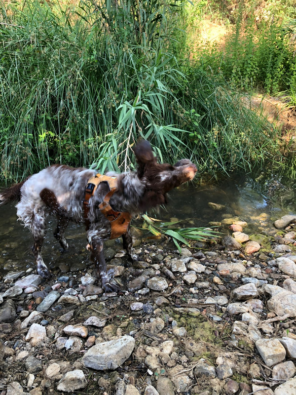 1D29C52C-685E-4FBB-810E-090F6D2AACCB