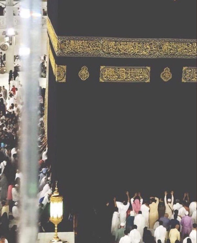 EF5FD396-CC18-453B-8CB8-C91344EF0393