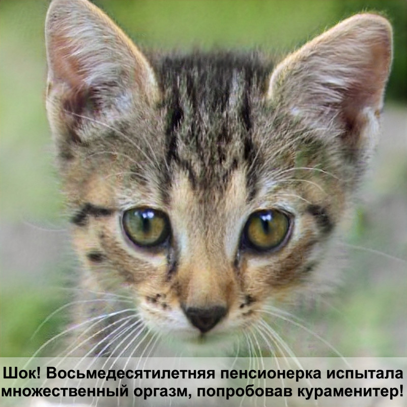 капли от ушного клеща для кошек