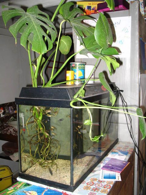 4921bbd48b5ecd966d8b34c81e005ee5