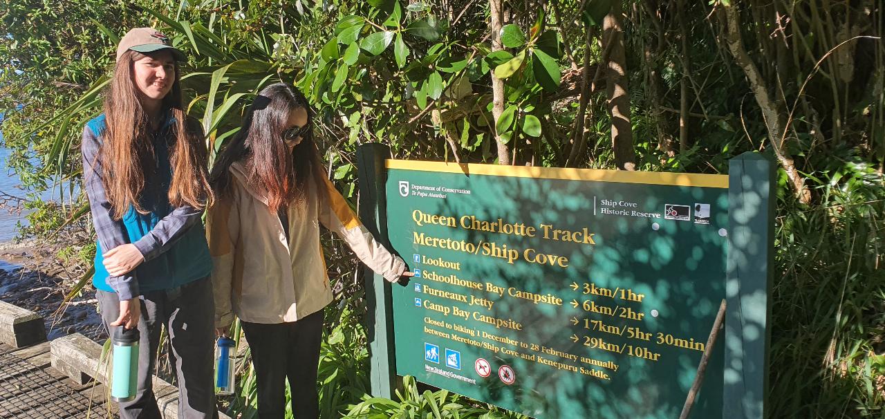 Queen Charlotte Track – Ultimate 1 Day Walk – Motuara Island and Kupes Trail | Shaara Deals 