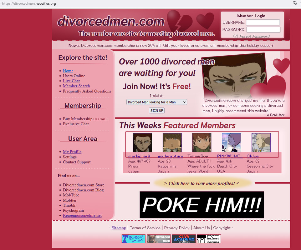 A screenshot of a website in the style of a dating site.