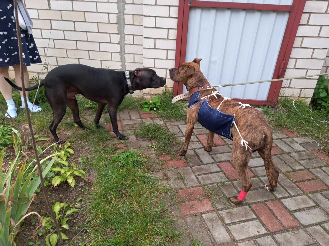 ADF40F18-1349-41B1-9956-E9D6A4576A1B