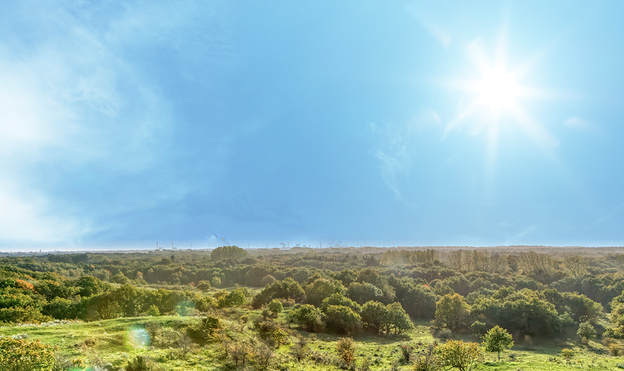 IMAGE: https://i.postimg.cc/d0MPmPTP/4-Luminar-copy.jpg