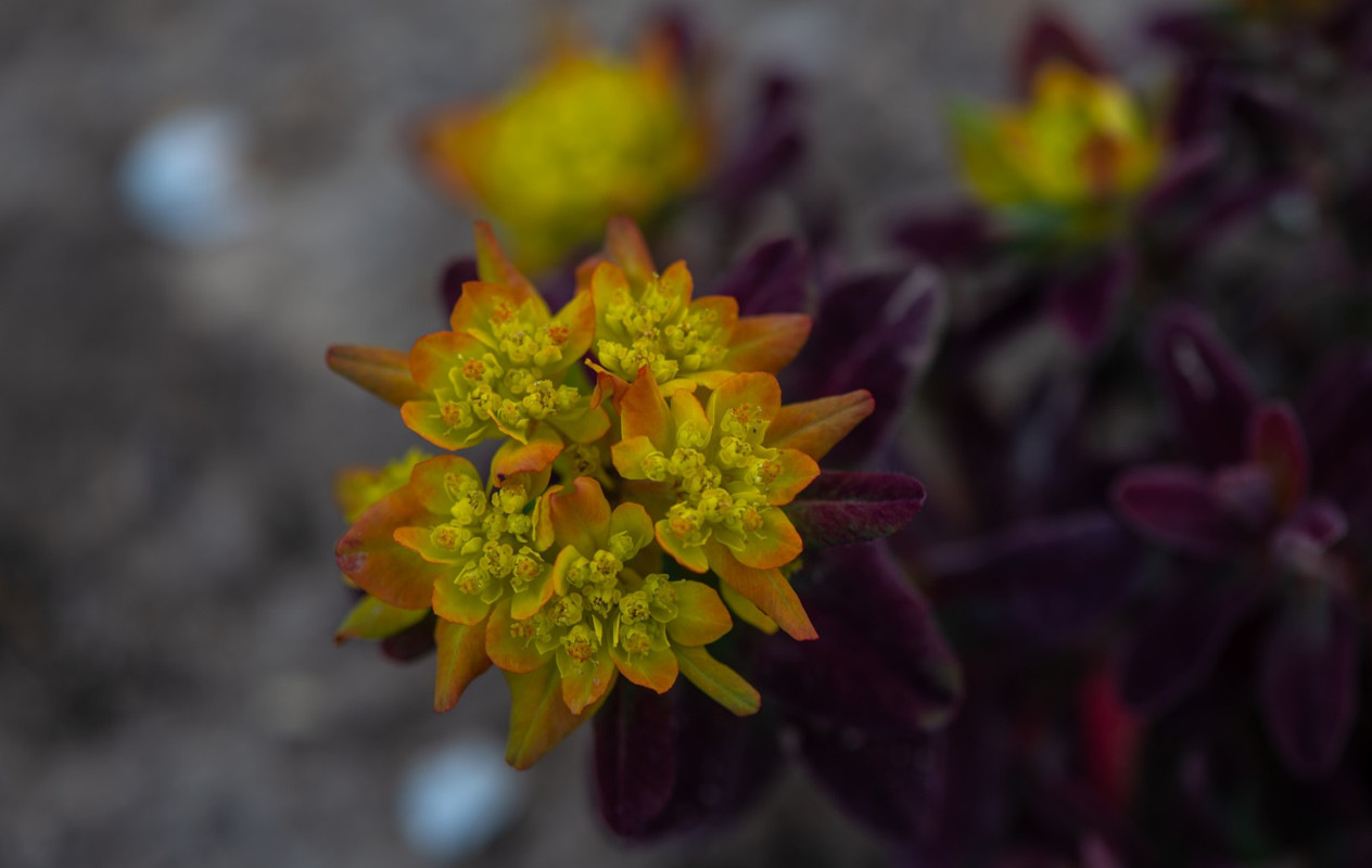 IMG-471b1bec2d2476e87f2799817c8aa241-V