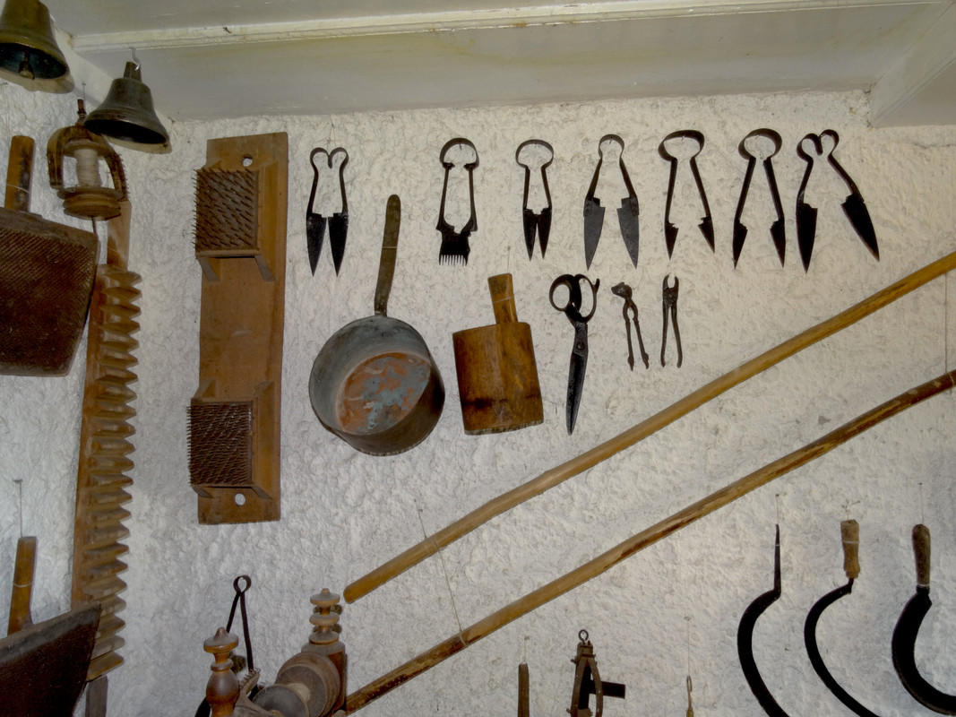 08.09 - DSC07375 (Czesio1)