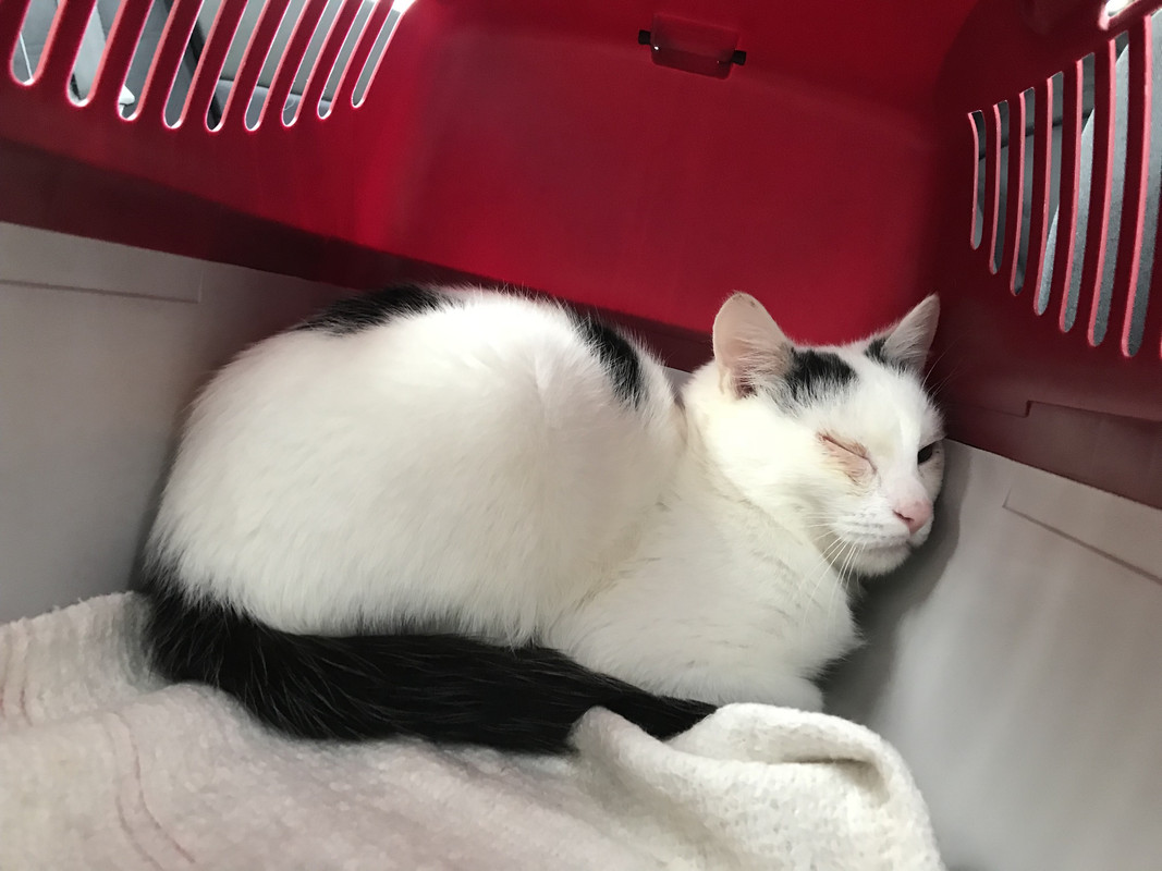 E40FB44A-6FD6-461E-997C-FDCACDA0CE6F