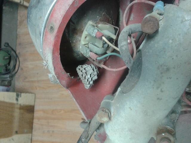 15722679_10209846061462469_1729569403_n