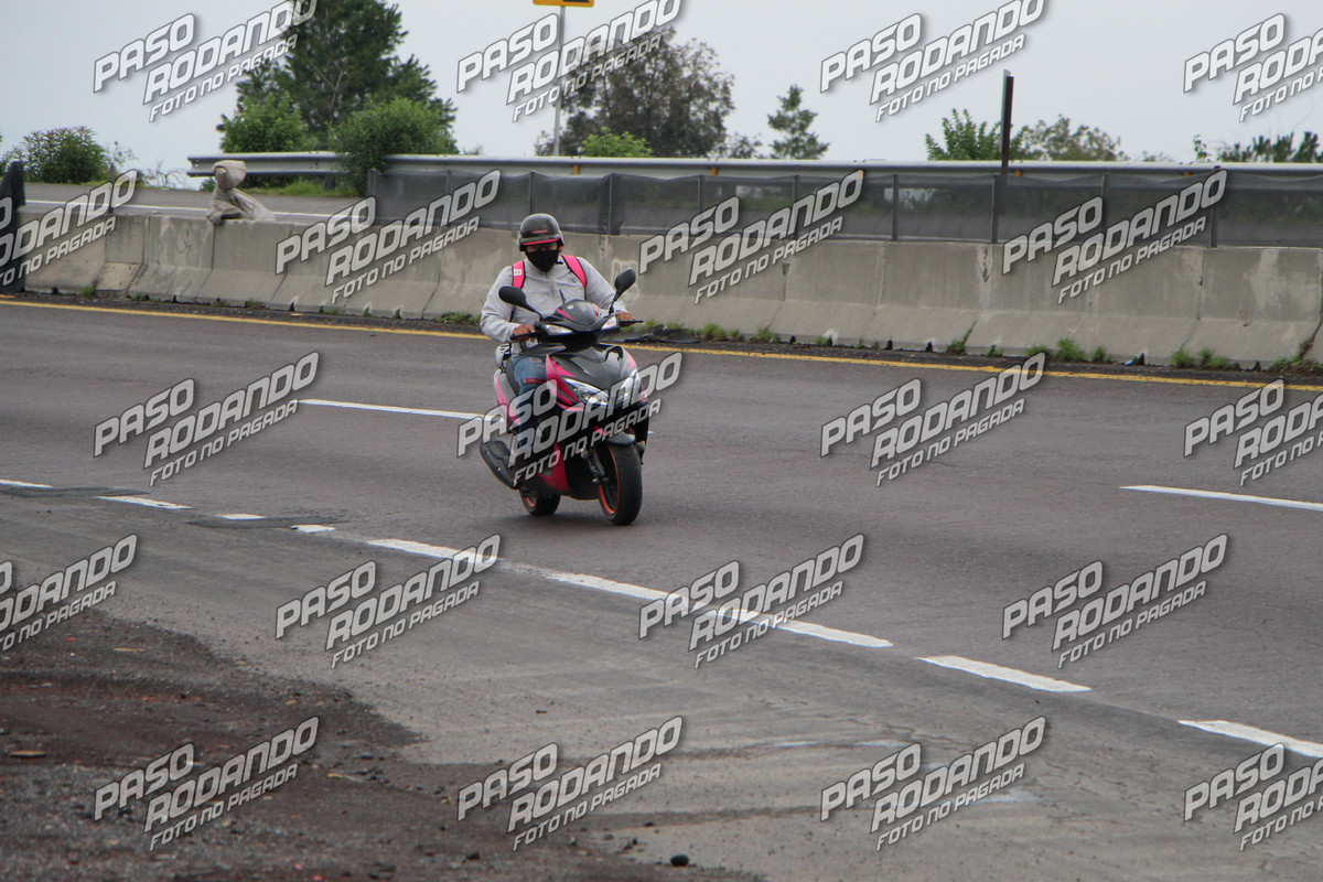 IMG 7030 wm 9720921 6 watermarked — Postimages