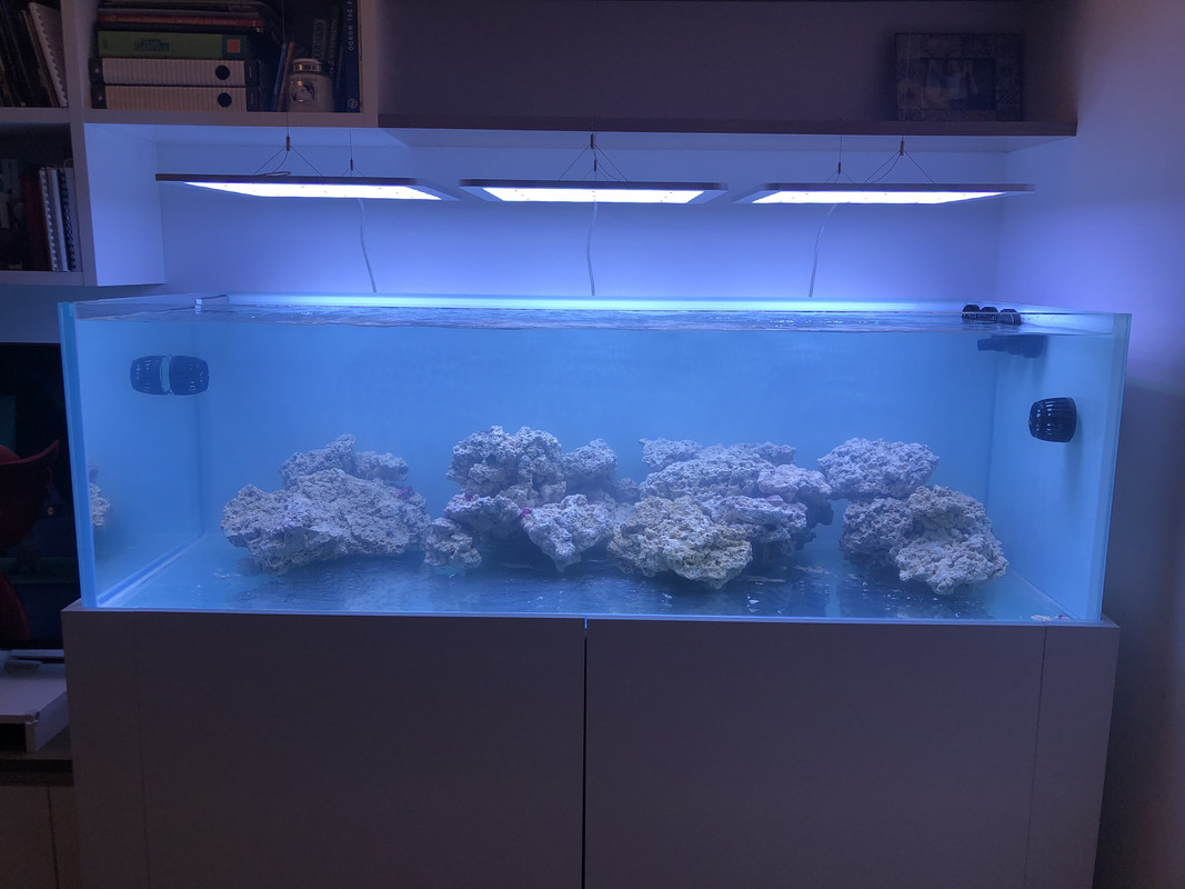 4D875640-B399-4F99-840F-D2FE2AD200B4