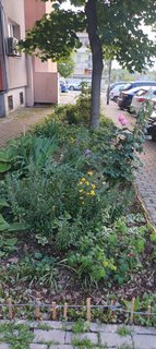 IMG_20230526_192709